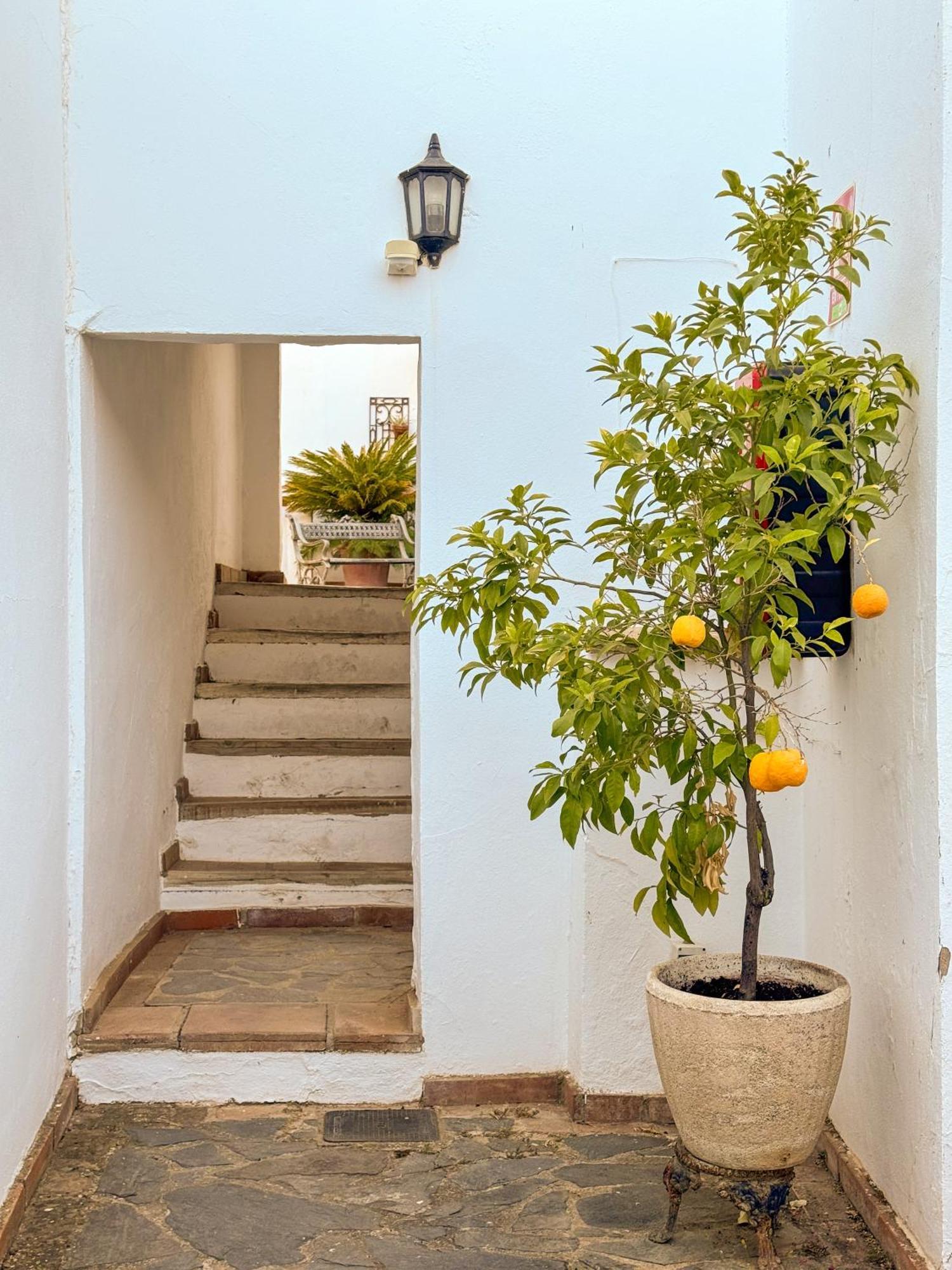 Hotel Cortijo Las Piletas Ронда Екстериор снимка